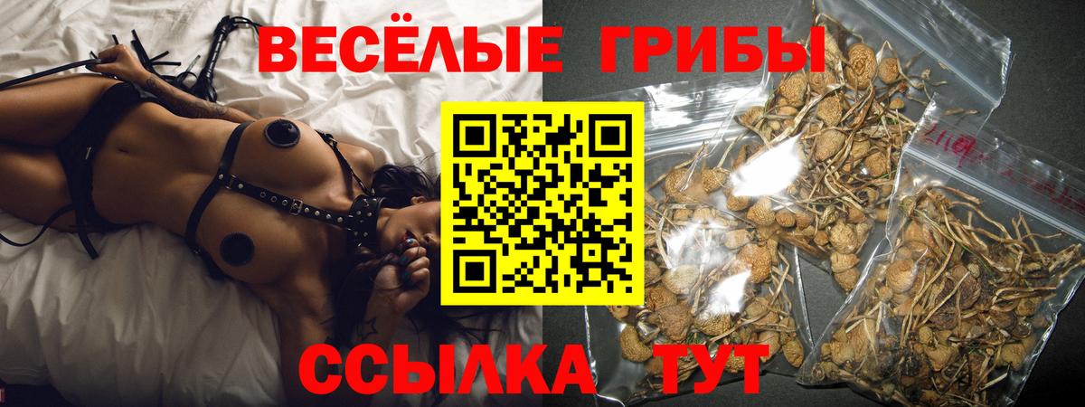 Псилоцибиновые грибы Psilocybine cubensis Ессентуки